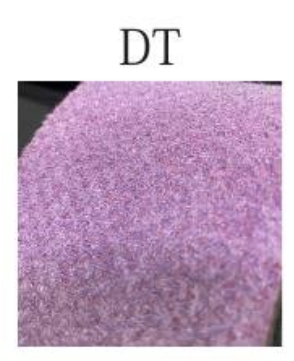 GLIDZ Wetsuits STANDARD 모델 DT,Type-C 5/3m